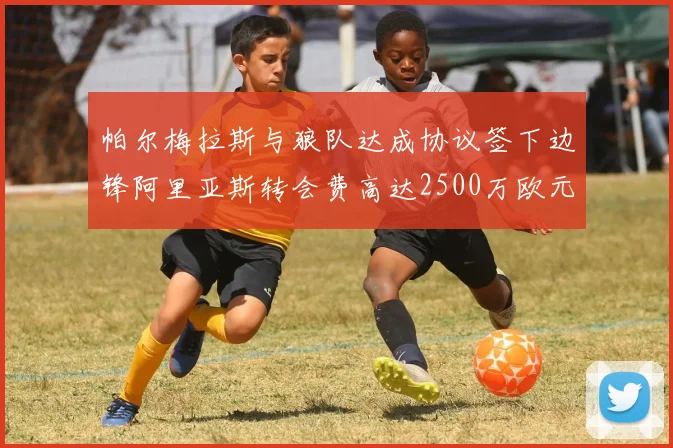 帕尔梅拉斯与狼队达成协议签下边锋阿里亚斯转会费高达2500万欧元