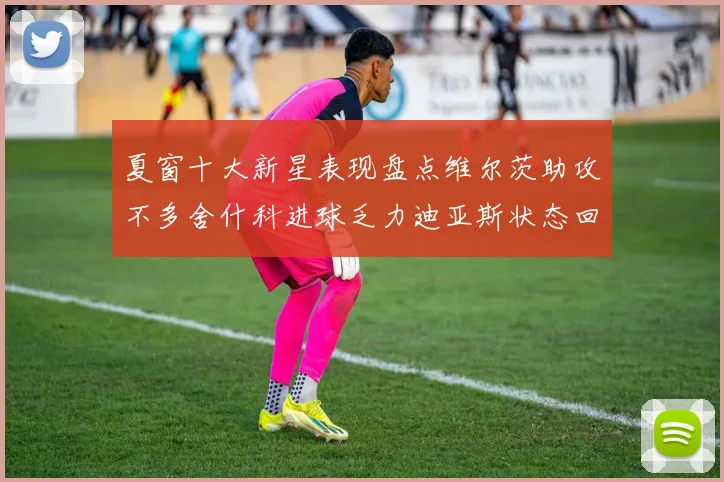 夏窗十大新星表现盘点维尔茨助攻不多舍什科进球乏力迪亚斯状态回暖