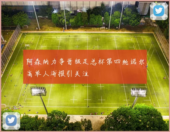 阿森纳力争晋级足总杯第四轮诺尔高单人海报引关注