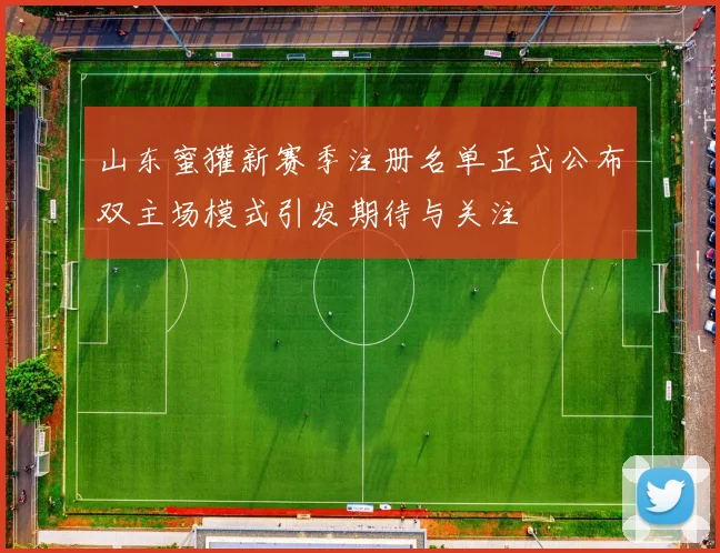 山东蜜獾新赛季注册名单正式公布双主场模式引发期待与关注