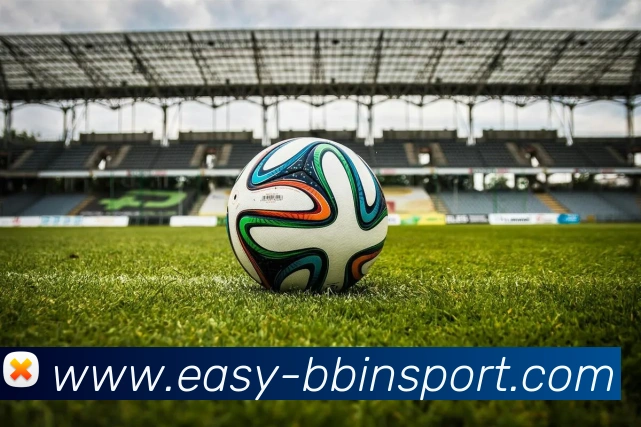 BBIN体育平台生态图